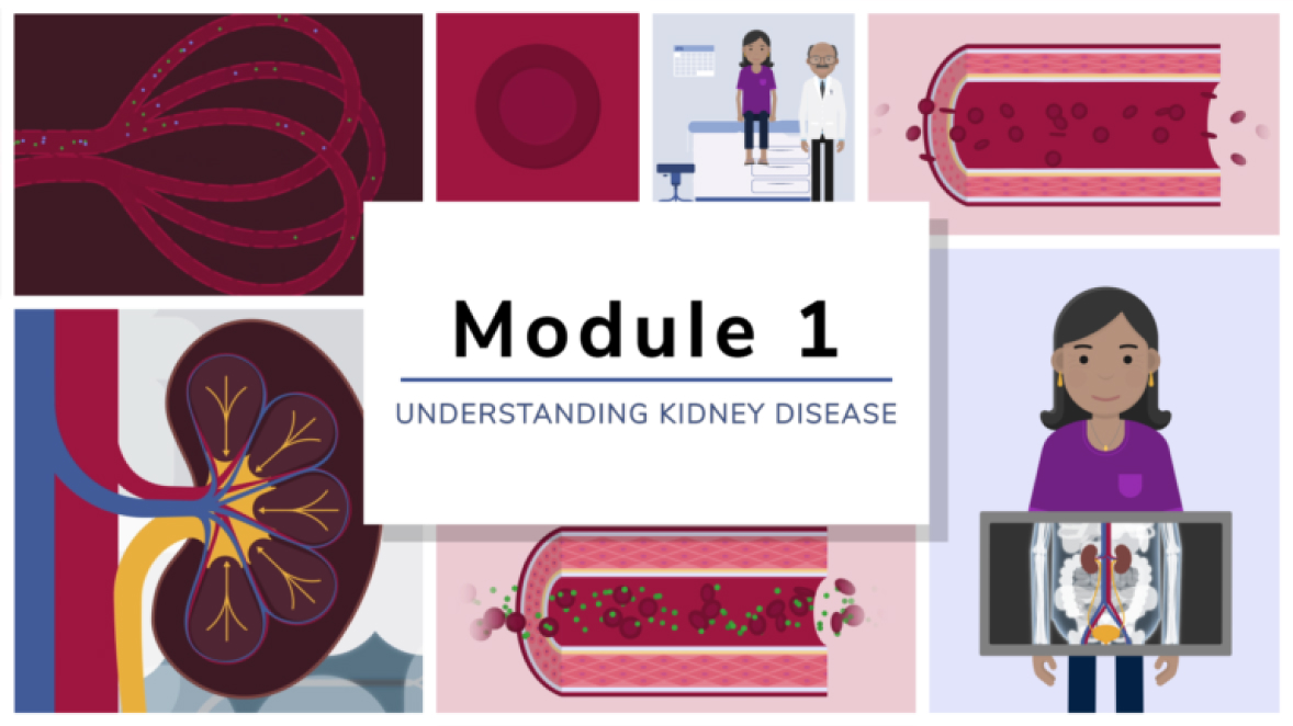 Kidney Disease Education Module 1 Understanding Kidney Disease